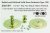 35014p1-1.jpg