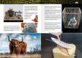 AK518-LEARNING-14-ANIMALES_06-07.jpg