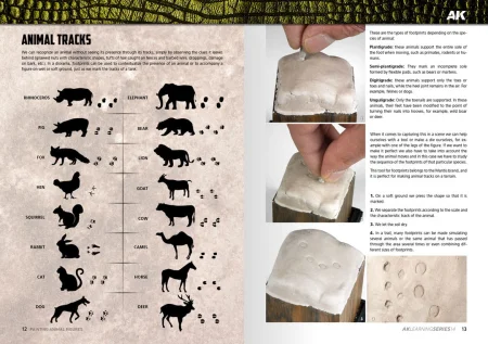 AK518-LEARNING-14-ANIMALES_12-13P.jpg