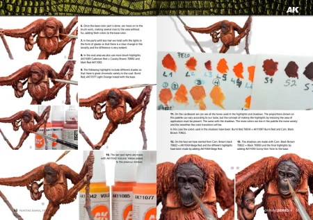 AK518-LEARNING-14-ANIMALES_60-61P.jpg