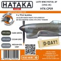HTK-CP09-Late-WW2-Royal-AF-1941-45-a.jpg
