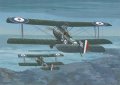 Roden-637.jpg