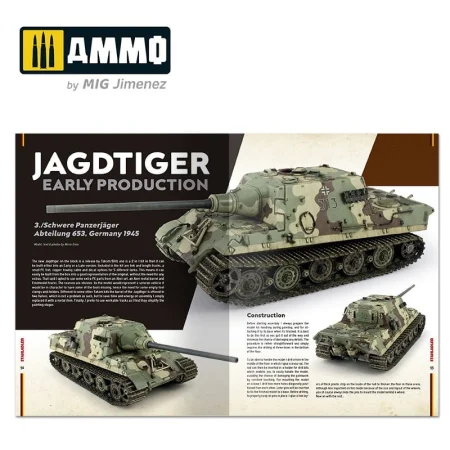 ammo-6289 (8).jpg
