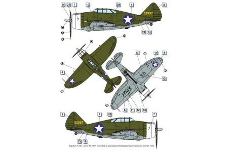 dora-wings-72029 (3).jpg