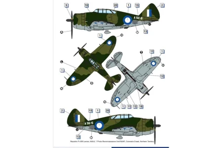 dora-wings-72029 (6).jpg