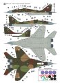 h2000-48024-mig-29 (4).jpg