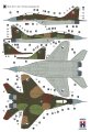 h2000-48024-mig-29 (2).jpg
