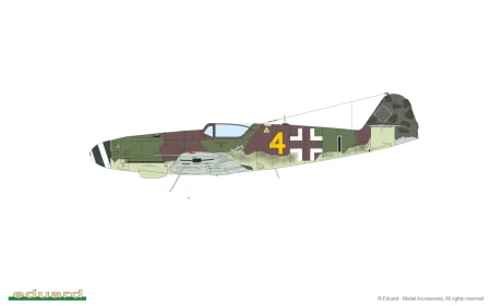 11177-01-A.jpg