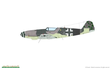 11177-07-G.jpg