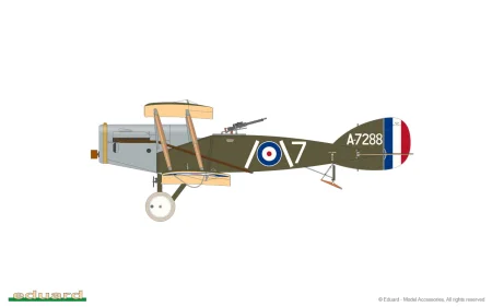 8452-01A.jpg