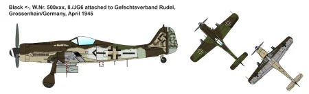 ibg-72544-fw-190-d-9 (4).jpg