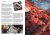 AK590_Wargame_Beginner-Starship2-3P.jpg