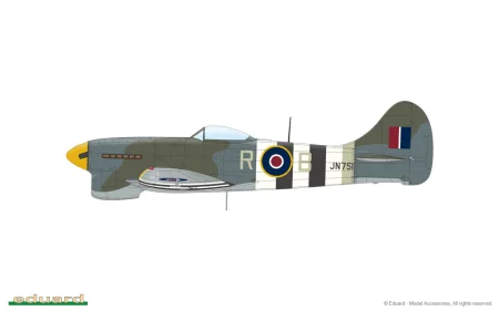 84195-03-C.jpg