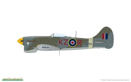 84195-06-F.jpg