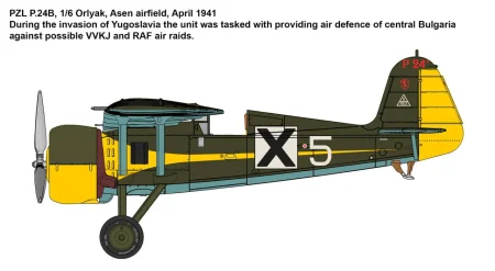 IBG-72554-PZL-P (3).jpg