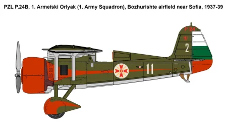 IBG-72554-PZL-P (4).jpg