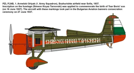 IBG-72554-PZL-P (5).jpg