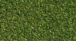 Go to product NOCH 08410 - Alpine Pasture, Light Green 42 g