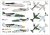 AZ7855_kamo.jpg