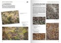 AK130008-WAFFEN-SS-CAMOUFLAGE-UNIFORMS-24-25.jpg