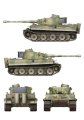 Border-BT034-Tiger (2).jpg