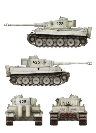 Border-BT034-Tiger (4).jpg