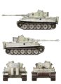 Border-BT034-Tiger (5).jpg