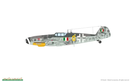2144-13-M.jpg