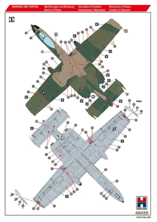 48029M2.jpg