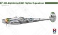 hobby-2000-48028-P38L-Lightning.jpg