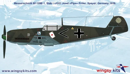 Wingsy-Kits-D5-07 (4).jpg