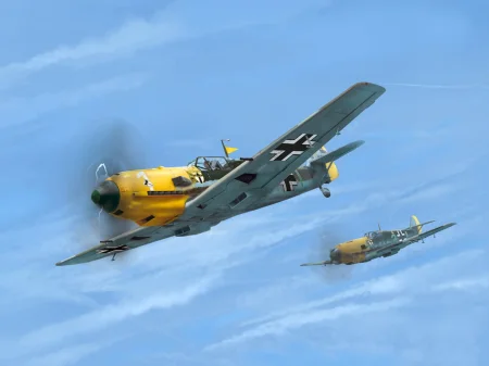 D5_10.jpg
