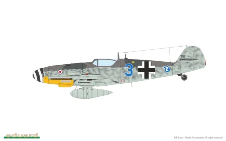 2145-08-H.jpg
