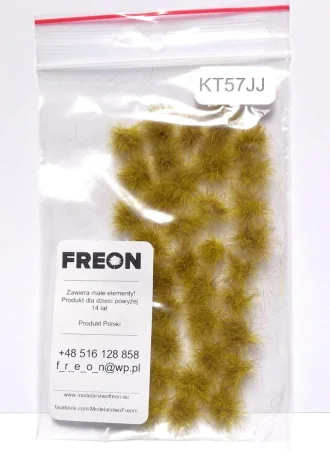 freun-kt57JJ.jpg