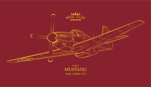 Eduard R0021 - 1:72 P-51D Mustang - Royal Class Edition Dual Combo