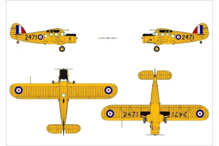 dora-wings-72034 (6).jpg