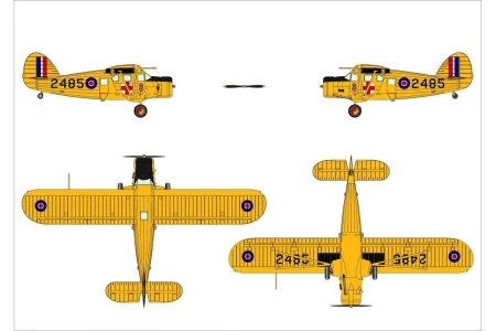 dora-wings-72034 (7).jpg