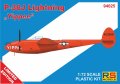 rs-94025-p-38j-lightning (1).jpg