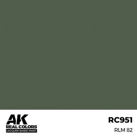 ak-interactive-RC951.jpg