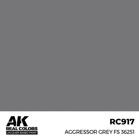 ak-interactive-RC917.jpg