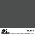 ak-interactive-RC856.jpg
