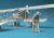 csm-f32055 (2).jpg