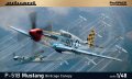 eduard-82107-p-51B-mustang.jpg