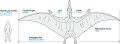 tamiya-60204-pteranodon (9).jpg