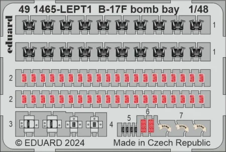 491465.jpg