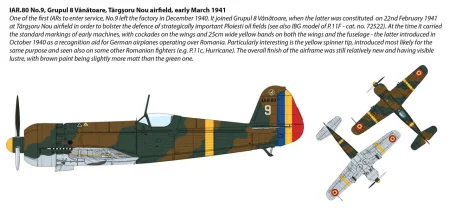 IAR-80-IBG-camo-3.jpg