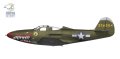 arma-hobby-40011-p-39N (11).jpg