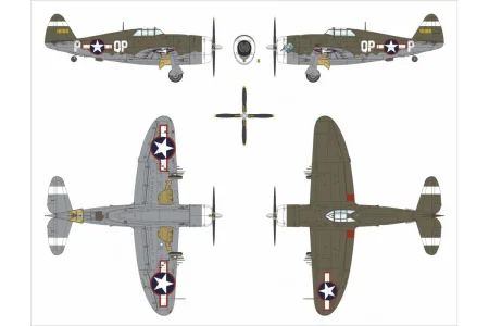 dora-wings-DW48055-P-47c (3).jpg