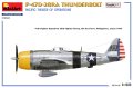 miniart-48022-p-47D-28RA (5).jpg