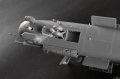 Trumpeter-05829 (9).jpg